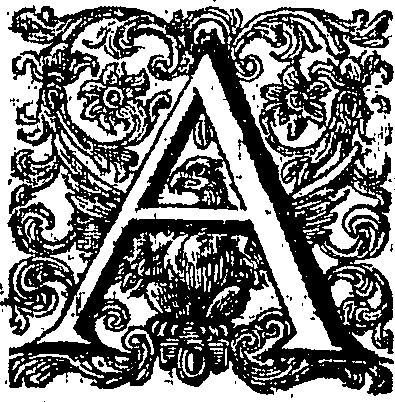048/048080020100020_0.png