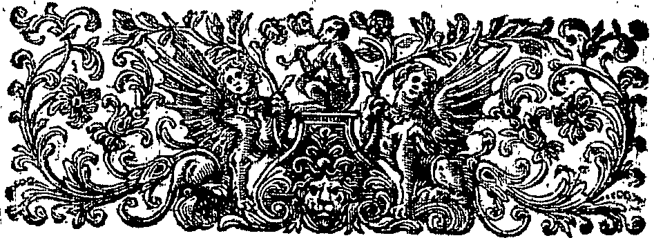 048/048080020100020_1.png