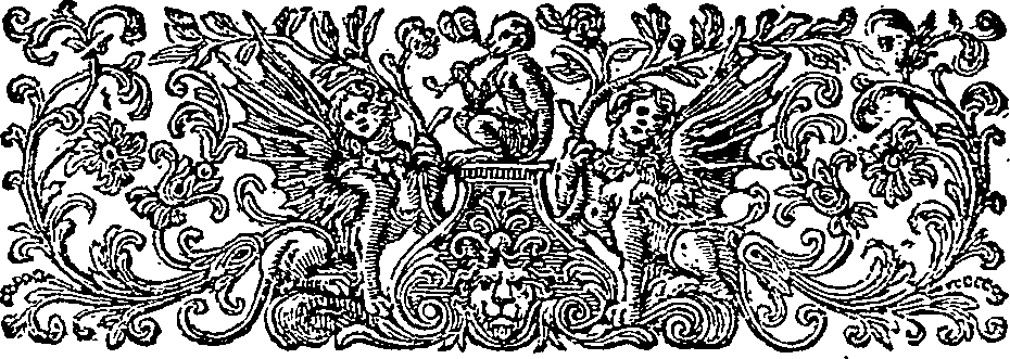 048/048080020300020_1.png