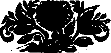 048/048100010100160_0.png