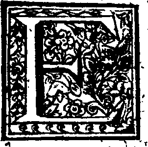 048/048140020000020_1.png