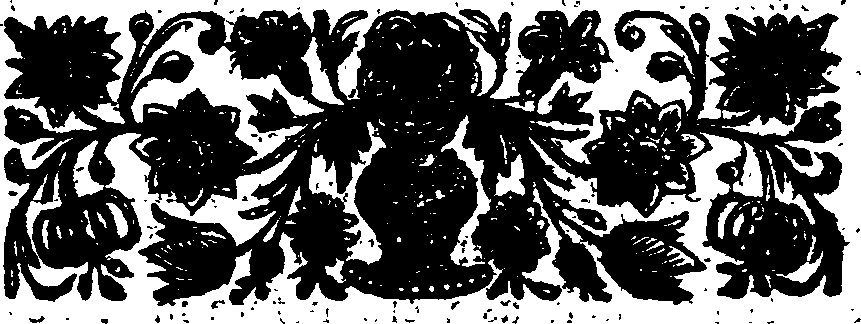 048/048140020000020_2.png