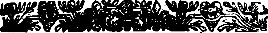 048/048140070100450_2.png
