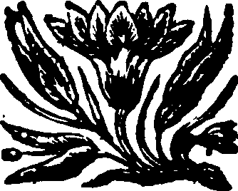 048/048170070000250_0.png