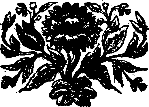 048/048170070000430_0.png
