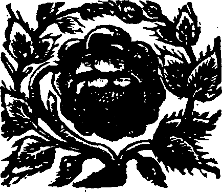 048/048170070000480_0.png