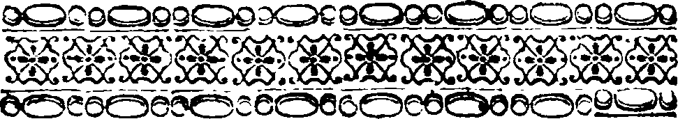 048/048170070000540_0.png