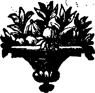 048/048190010100020_0.png