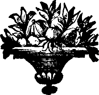 048/048190010200020_0.png