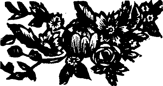 048/048190010300020_0.png