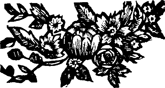 048/048190010400020_0.png
