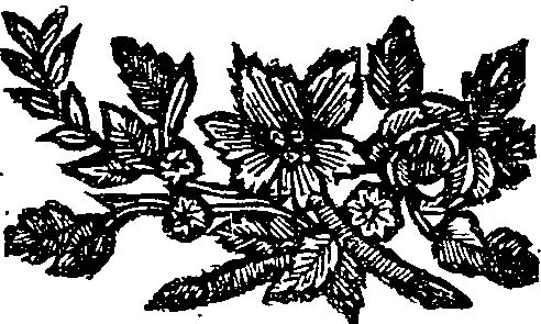 048/048190010500020_0.png