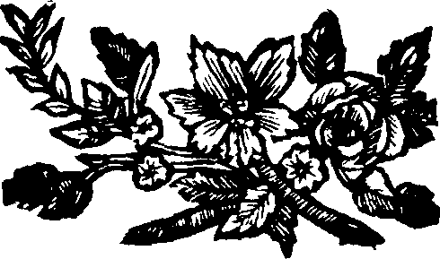 048/048190010600020_0.png