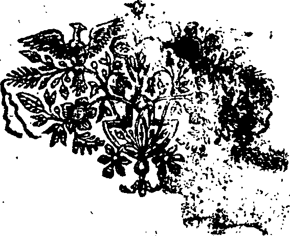 048/048280080000800_0.png