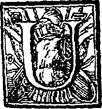 048/048340040100040_0.png