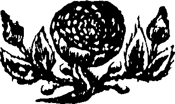048/048350010000290_0.png