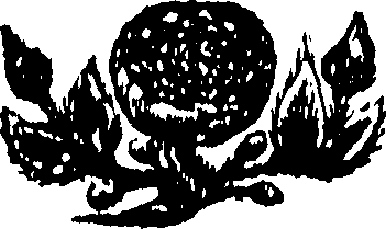 048/048350010001640_0.png