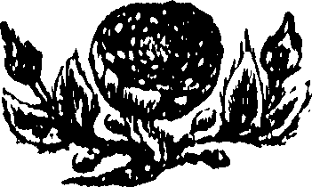 048/048350010002650_0.png