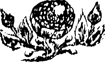 048/048350010007400_0.png