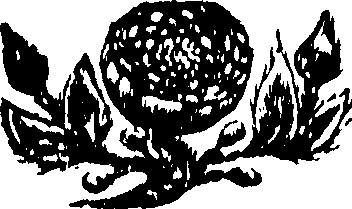 048/048350010009680_0.png
