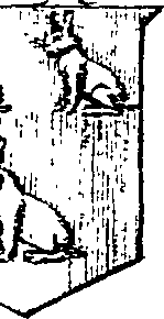 048/048370090002210_2.png