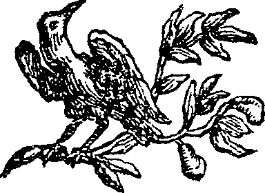 048/048390040100020_0.png
