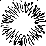 048/048390040101170_0.png