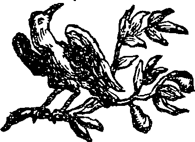 048/048390040200020_1.png
