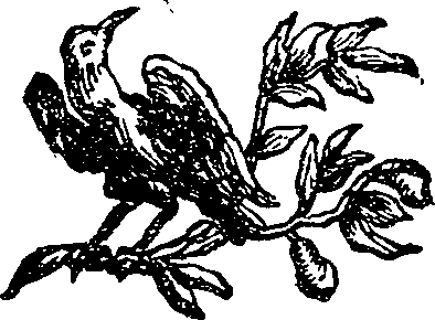 048/048390040300020_1.png