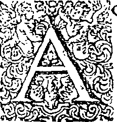 048/048400010001800_0.png