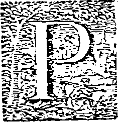 048/048400010002810_0.png