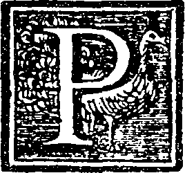 048/048420040000020_0.png