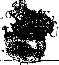 048/048420050000010_0.png