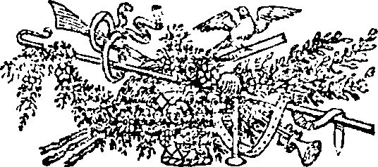 048/048440110100040_0.png