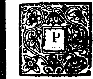 048/048570070000500_2.png