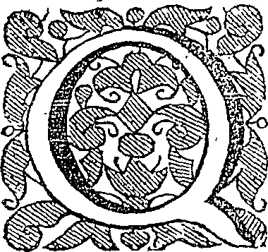 048/048600010100250_0.png