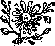 048/048860060000730_0.png
