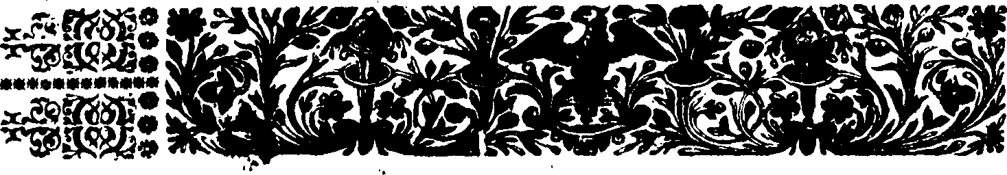 048/048890010000020_2.png