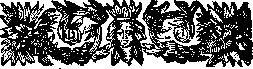 048/048900020000080_1.png