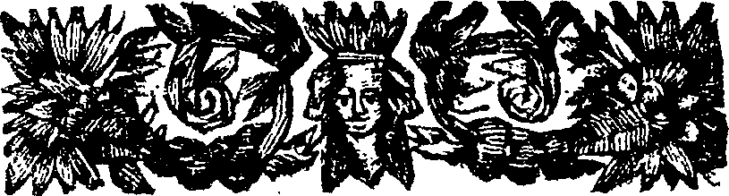 048/048900020000480_1.png