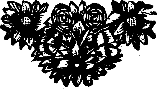 048/048900030200010_0.png