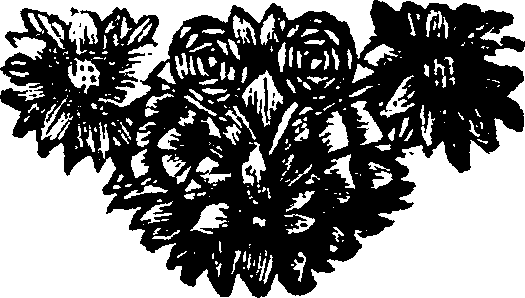 048/048900030201640_0.png