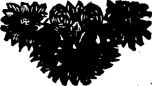 048/048900030202960_0.png