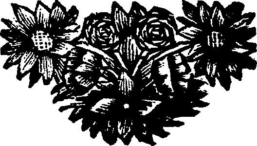 048/048900030300010_0.png