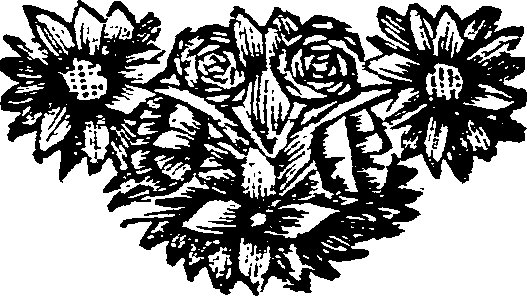 048/048900030304270_0.png