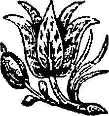 048/048960050001520_0.png