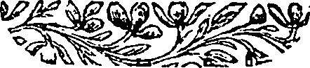 048/048960050001620_0.png