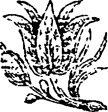 048/048960050002420_0.png