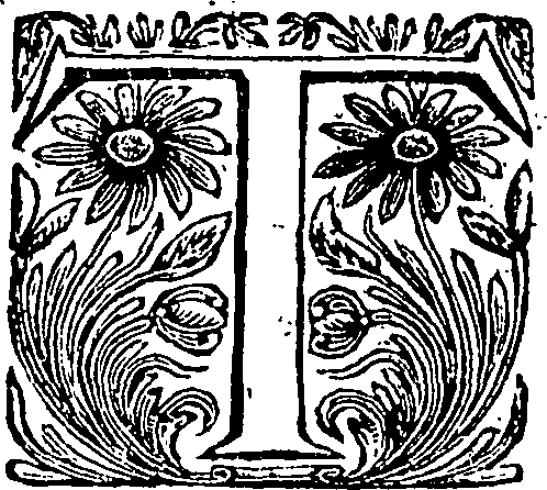 048/048960070001260_0.png