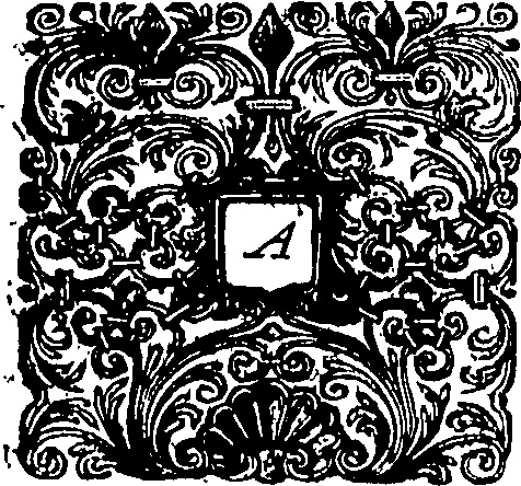 048/048970040000040_0.png